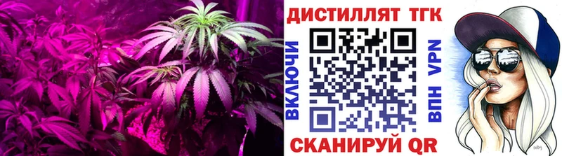 Дистиллят ТГК вейп с тгк  где найти   Трубчевск 