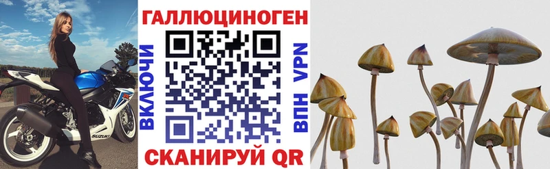 MEGA как зайти  как найти закладки  Трубчевск  Галлюциногенные грибы ЛСД 